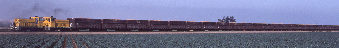 Historic Beet Train 70T - panorama photo