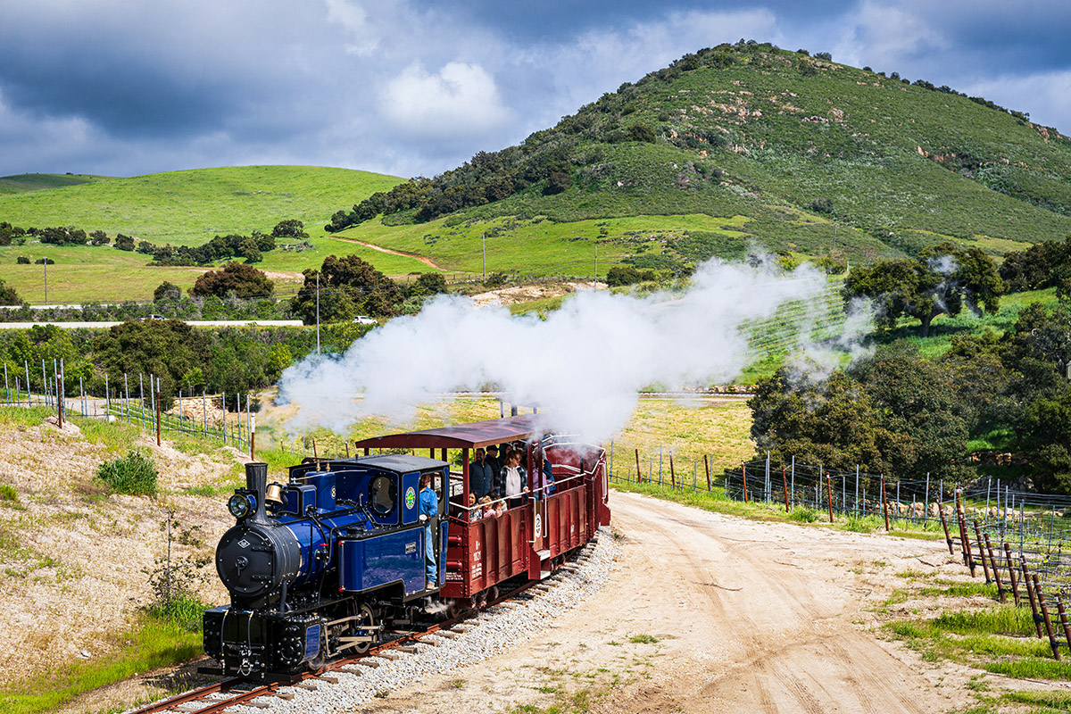 Norgrove Steam Train